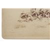 Image 7 : C.A. 1886 C.S. Fly "Rifle Drill: Fort Huachuca