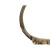 Image 6 : Wells, Fargo Museum John Slaughter Ranch Stirrups