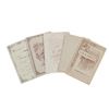 Image 10 : Velocipede Children Cabinet Card Photos 1880s (5)