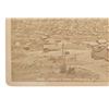 Image 6 : Alexander Martin Photo Of Leadville, CO. 1880-90s