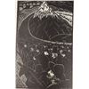 Image 8 : Rare 1st Ed. "Gold Days" by Owen Cochran Coy, 1929
