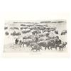 Image 8 : SIGNED 1st Ed. Helldorado by Breakenridge & Photos
