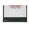 Image 4 : C.S. Fly Studio Portrait Photos Of Young Men 1890s