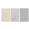 Image 11 : C.S. Fly Studio Tombstone, A.T. Cabinet Cards (3)