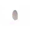Image 7 : EXCAVATED Spencer .56 Cal & Colt .36 Cal Bullets