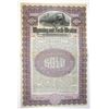 Image 1 : WY. Wyoming and North-Western Railway Co., 1906, Specimen Gold Coupon Bond.