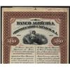 Image 1 : Mexico. Banco Agricola e Hipotecario De Mexico 1907 Specimen Bond.