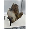 Image 7 : 8  INCH  NATURAL UNQUIE FORMATIOM AGATE SLICE