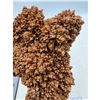 Image 6 : 4.3 X 4 INCH ORANGE CALCITE FLOWER FORMATION