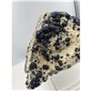 Image 5 : 10 X 9 INCH BLUE BERRY  ON MATRIX ON STAND