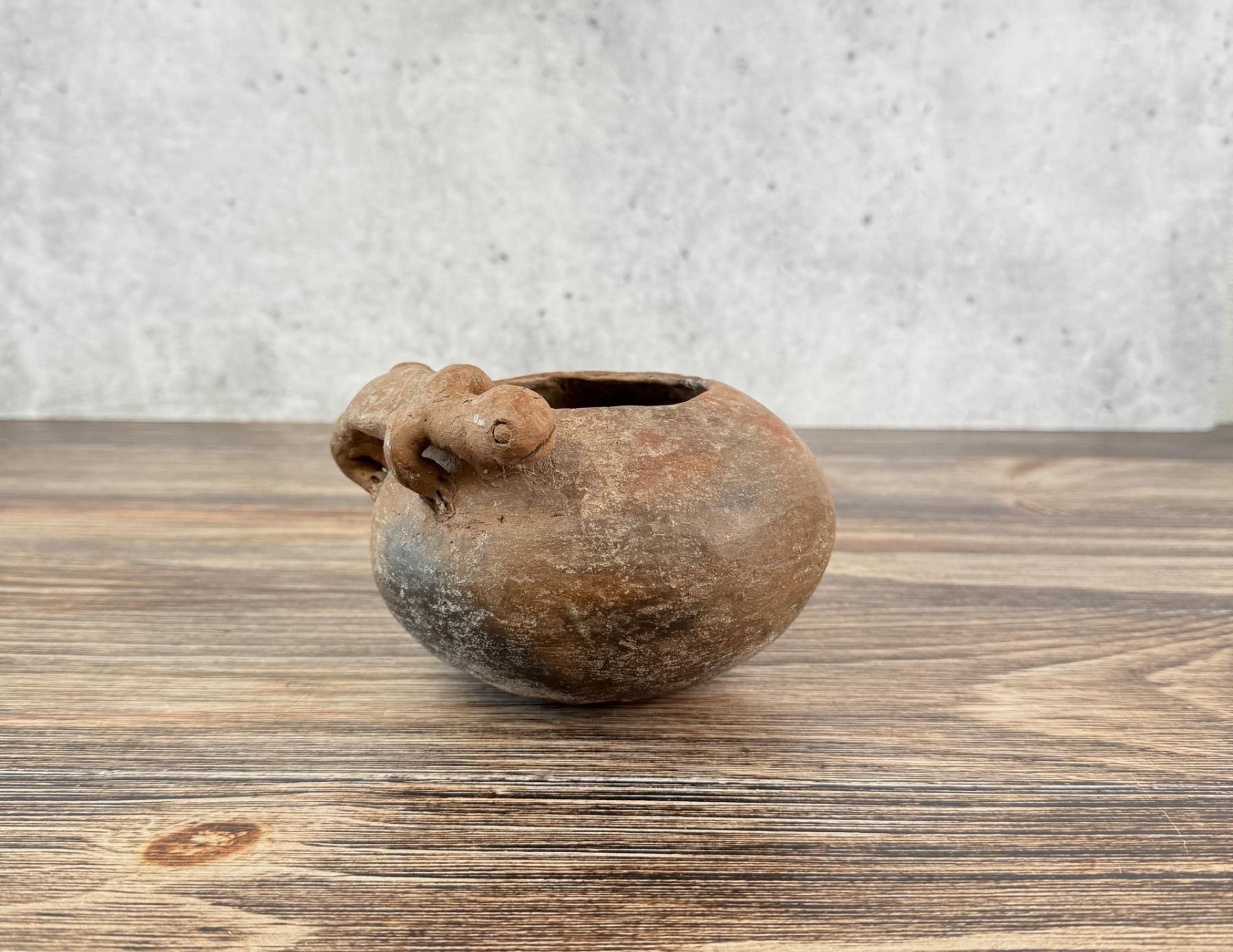 Pre Columbian Pottery Lizard Pot