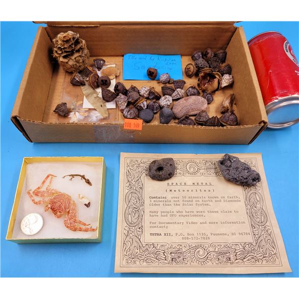 Rock, Fossil, & Meteorite Lot