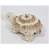 Image 2 : HAND MADE, SNAIL SHELL, TORTOISE