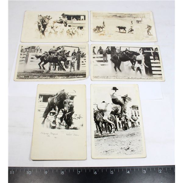 LOT OF 6 VINTAGE CALGARY STAMPEDE POST CARDS