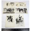 Image 1 : LOT OF 6 VINTAGE CALGARY STAMPEDE POST CARDS