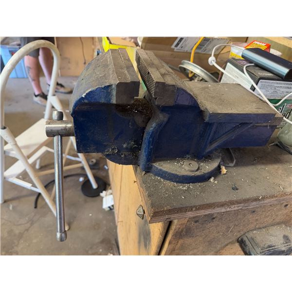 Large Vice