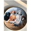 Image 1 : School Daze Collector Plate By Jim Killen- Dogs & Puppies Franklin Mint