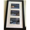 Image 1 : Framed 3 Scrimshaw Prints