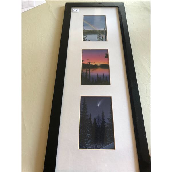 Framed 3 Scrimshaw Prints