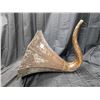 Image 7 : Antique Edison #10 Grain Cygnet Phonograph Horn
