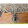 Image 2 : Brass deer head- 32"L antlers