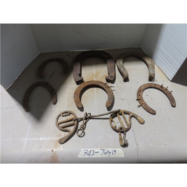 lot of vintage horse shoes