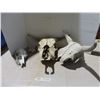 Image 1 : Lot of Misc. Skulls