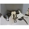Image 2 : Lot of Misc. Skulls