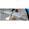 Image 4 : Large wood flying seagull. Bottom pull.