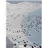 Image 2 : 20” x 20’ Canadian military snow hevy duty cammo netting.