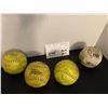 Image 1 : Softballs - 4 in total