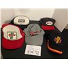 Image 1 : Hats - NASA, Sonic, Calgary Flames, Arctec, Railroad