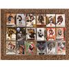 Image 1 : Serial Numbered Insert Cards - 2 Sheet (18 Cards)