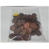 Image 1 : Bag of One Cent Coins.
