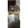 Image 1 : 8 - 1/2 Pint (250ml) Canning Jars w/ Lids