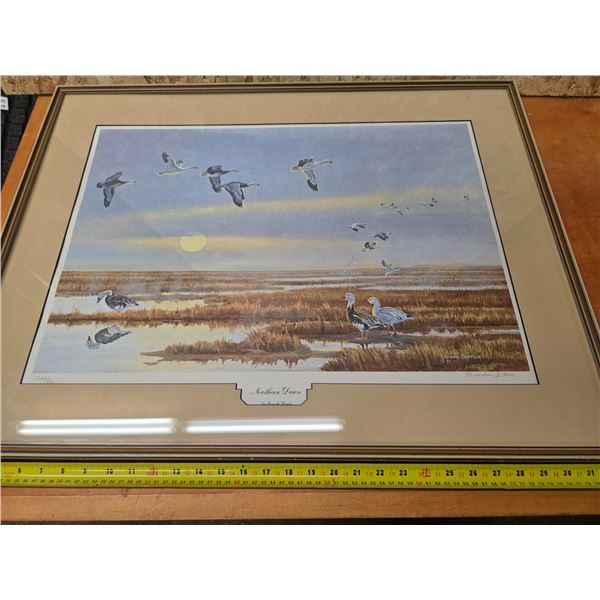 Northern dawn picture- 31" by 24"