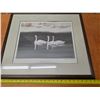 Image 1 : Tundra swans picture- 24" by 21"