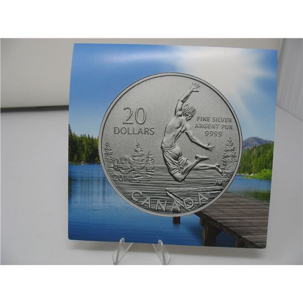 2014 ROYAL CANADIAN MINT SILVER $20 COIN with Folder - Summertime0