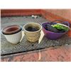 Image 1 : House Plant Pots