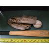 Image 2 : Baseball bat with glove and ball