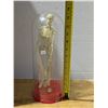 Image 2 : Vintage Skeleton In Container (Hand fell off) 12"