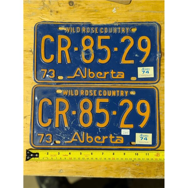 1974 Alberta License Plates Matching Set CR-85-29