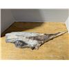 Image 1 : Natural Wood Piece (Dogor Wolf face) 22"x6"
