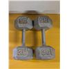 Image 1 : 2 Weights 35 ILBS Each