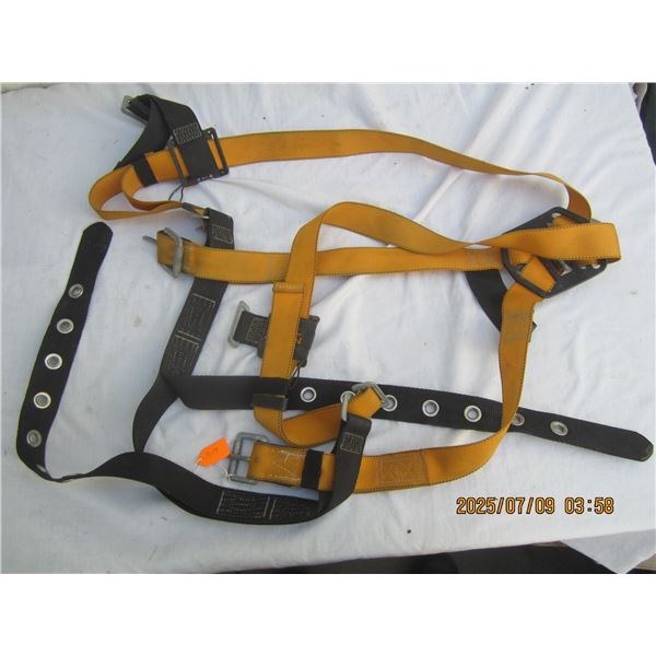Miller Titan Safety Harness