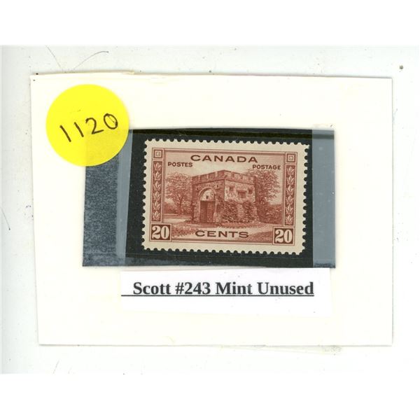 Scott #243 Mint Unused.