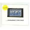 Image 1 : Newfoundland 7C Mint Unused.