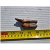 Image 2 : petrified tooth- possible steppe bison