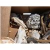 Image 3 : Animal bones and petrified items