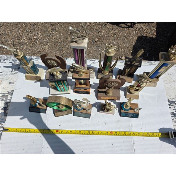 Lot of misc trophies
